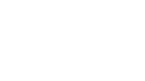 Netbee Logo